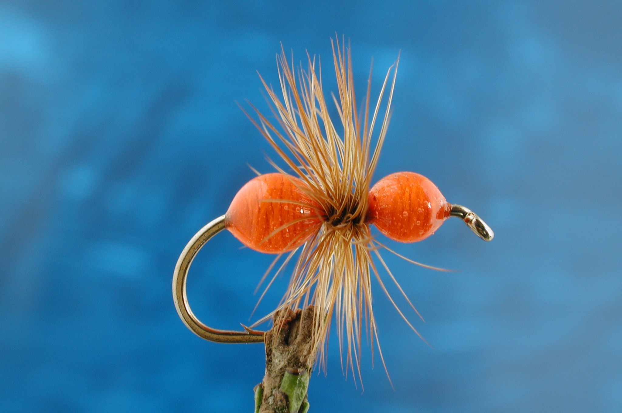 Red Transpar Ant Fly Fishing Flies With Fish4flies Worldwide